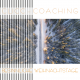 clicc-coaching-weihnachtsglueckwuensche